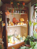 Die Blumenstube - Der Vorbau