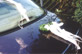 Autoschmuck hinten