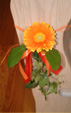 Bankschmuck mit Aster
