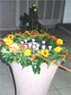 Taufbeckenschmuck